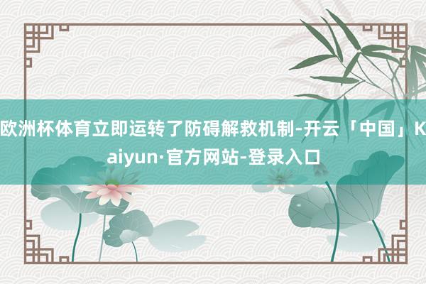 欧洲杯体育立即运转了防碍解救机制-开云「中国」Kaiyun·官方网站-登录入口