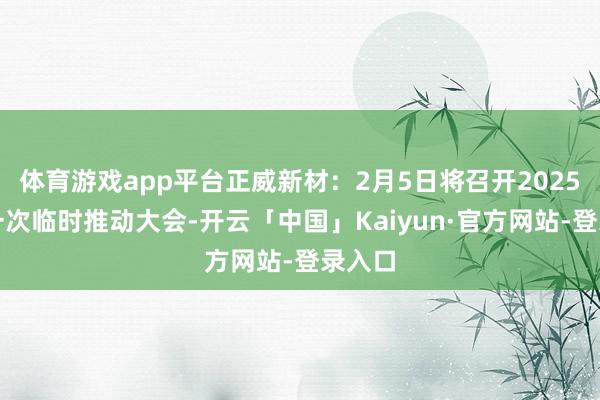 体育游戏app平台正威新材:2月5日将召开2025年第一次临时推动大会-开云「中国」Kaiyun·官方网站-登录入口