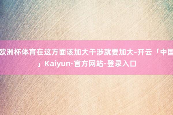 欧洲杯体育在这方面该加大干涉就要加大-开云「中国」Kaiyun·官方网站-登录入口