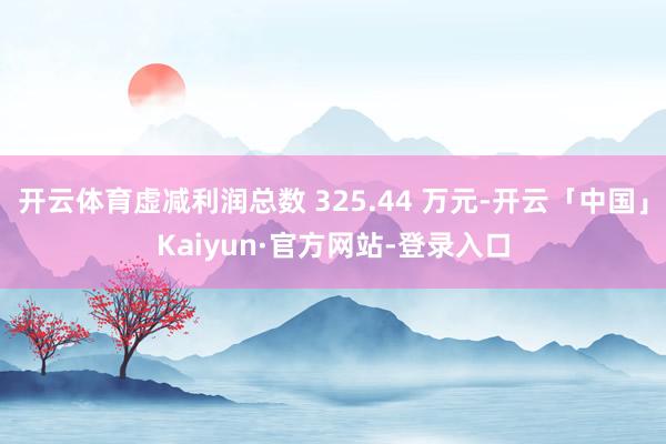 开云体育虚减利润总数 325.44 万元-开云「中国」Kaiyun·官方网站-登录入口