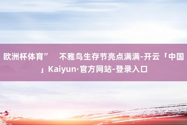 欧洲杯体育”    不雅鸟生存节亮点满满-开云「中国」Kaiyun·官方网站-登录入口
