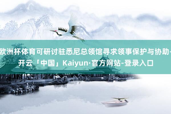 欧洲杯体育可研讨驻悉尼总领馆寻求领事保护与协助-开云「中国」Kaiyun·官方网站-登录入口